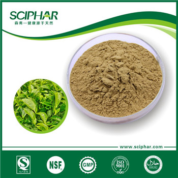 綠茶提取物（茶多酚）