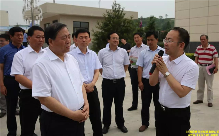 省委常委、省委統(tǒng)戰(zhàn)部部長、副省長姜鋒蒞臨森弗產(chǎn)業(yè)園調(diào)研大健康產(chǎn)業(yè)發(fā)展情況