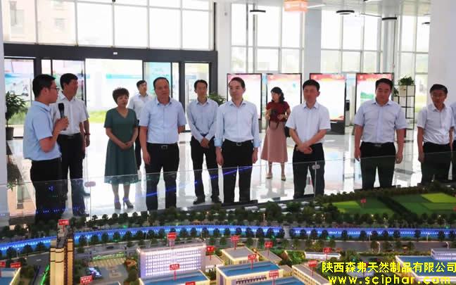 陜西省委常委、省紀(jì)委書(shū)記王興寧蒞臨森弗健康養(yǎng)生產(chǎn)業(yè)園調(diào)研企業(yè)發(fā)展情況