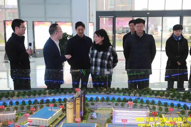 國(guó)務(wù)院扶貧辦領(lǐng)導(dǎo)一行蒞臨陜西森弗調(diào)研精準(zhǔn)扶貧工作情況!