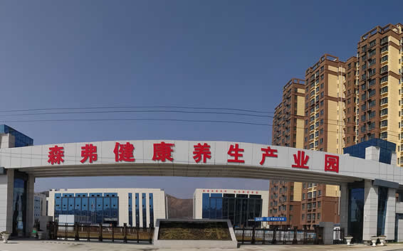 陜西森弗集團(tuán)董事長(zhǎng)金新康